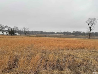 Lot 3 Dove Ln, East Eldorado Township, IL 62930