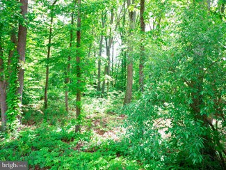 Lot 50 Gilmore Trail, Winchester, VA 22602