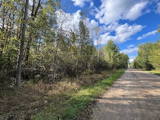 0 Easton Rd, Buckeye Township, MI 48624