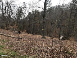 0 Sawmill Cove Unit 1216178, Rockwood, TN 37854