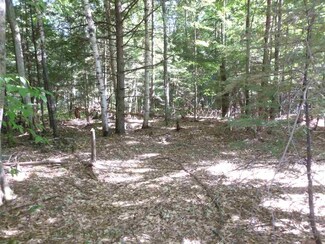 31 Mount Shaw Rd Unit 161, Ossipee, NH 03864