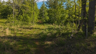 Lot 3 Shortcut Dr, Woolwine, VA 24185