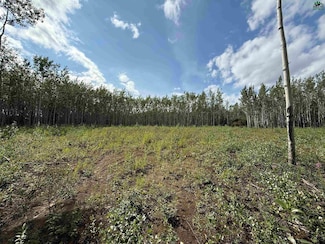 L6 Strawberry Rd, Deltana, AK 99737
