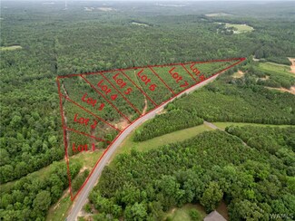 Lot 3 John Swindle Rd, Northport, AL 35475
