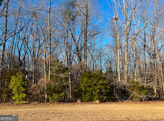 104 Gardens, Forsyth, GA 31029