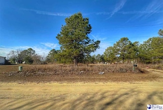 Lot 11 Zachary Ct, Latta, SC 29565