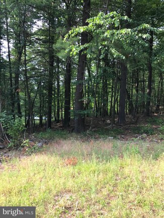 0 Lot 6 & 11 Trough Creek Acres Unit PAHU101910, Huntingdon, PA 16652