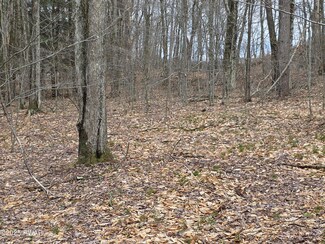 Lot #2 Pennsylvania 370, Poyntelle, PA 18454
