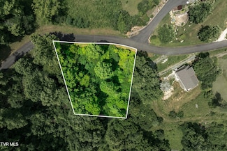 Lot 10 Lakeridge Dr, Butler, TN 37640