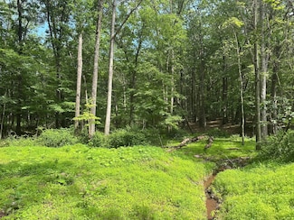 0 Anthony Bohrer Rd Unit 23820229, Slanesville, WV 25444