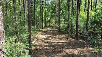 Tract B Hart's Ln, Kentwood, LA 70444