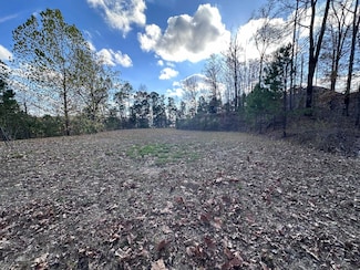 Lot 27 Broad Hawk Cir, Paron, AR 72122