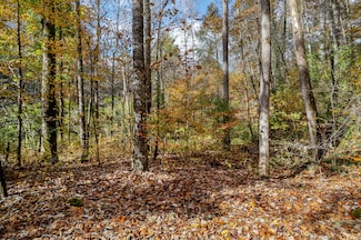 00 River Rd, Tellico Plains, TN 37385