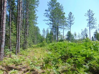 000 Buckhaven Trail, Newberry, MI 49868