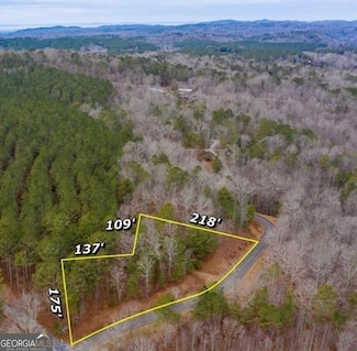 Lot 50 Lower Creek Trail, Ellijay, GA 30540