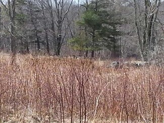 M26L1 Deep Cove Ln, Islesboro, ME 04848