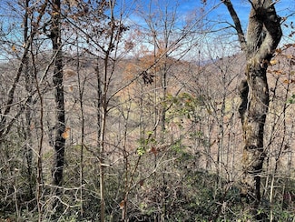 Lot 31J Ash Branch Cir, Hayesville, NC 28904