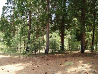 745 Blacktail Ridge, Beckwourth, CA 96122