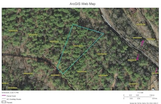 Lot 11 Bear Cove at Fires C, Hayesville, NC 28904