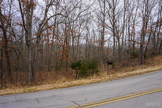 Tract B State Route Y, Dixon, MO 65459