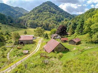 63 Duckett Top Tower Rd, Hot Springs, NC 28743