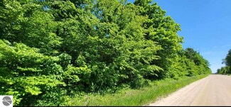 TBD Bocook Rd, Mancelona, MI 49659