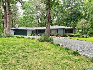 245 Tin Top Rd, Grant, AL 35747