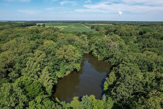 Sawmill Road Lot Unit WP001, Coulterville, IL 62237