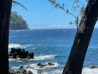 36-1070 Rd, Laupahoehoe, HI 96764