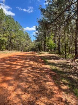 0 County Road 276 Unit 4075144, Union, MS 39365
