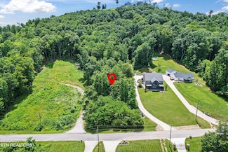 0 Hickory Pointe Ln Unit 1305206, Maynardville, TN 37807