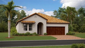 17409 Holly Well Ave, Wimauma, FL 33598