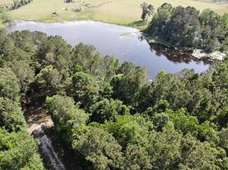 TBD D & G Ln, Whigham, GA 39892