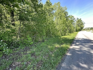 0 Ferrells Loop Rd, Beechgrove, TN 37018