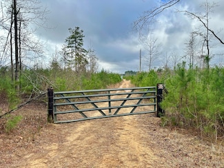 0 County Road 4111, Pachuta, MS 39347