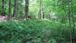 92 Josh Rd, Halifax, VT 05358