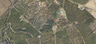 180 George Gray Rd, Danville, GA 31017