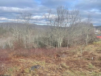 TBD Bunker Hill Rd, Thomas, WV 26292