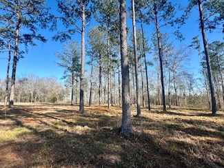 Sherwood Dr, Troy, AL 36081