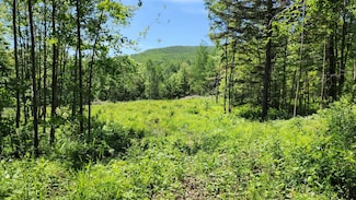 1400 Clark Mountain Rd, Newport, VT 05857