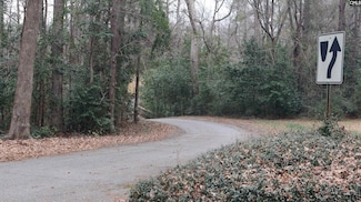 291 Big Timber Dr, Lexington, SC 29073