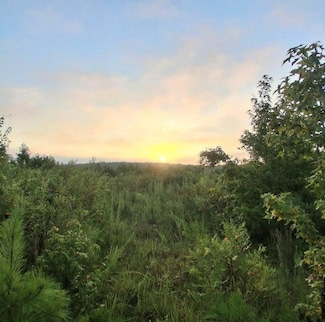 30a Bowie Rd, Troy, SC 29848