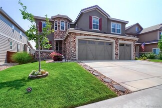 14378 Double Dutch Loop, Parker, CO 80134