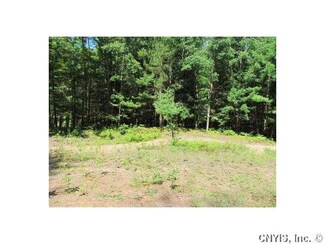 N. side N Shore Rd, Greig, NY 13345