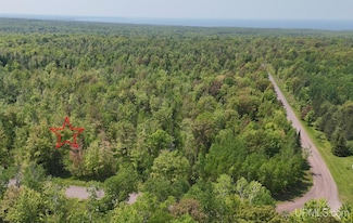TBDE Old Rink Rd, Stanton Township, MI 49965