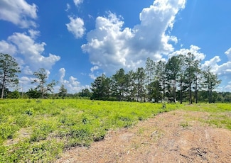 0 Tbd Barfield Rd Unit LotWP005, Nichols, SC 29581