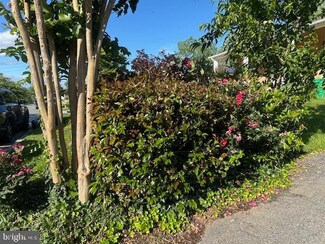 117 Spring St, Gaithersburg, MD 20877