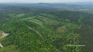 TBD Ryan Rd Unit 7, Oden, AR 71961