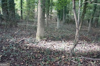 LOT 6 Pine Valley Dr, Royston, GA 30662