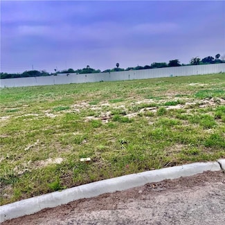 3317 S Kerala Ave, Edinburg, TX 78539